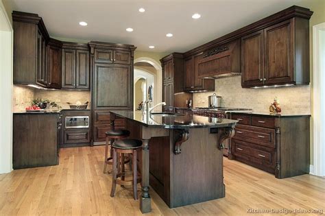 traditional kitchen cabinets  design ideas
