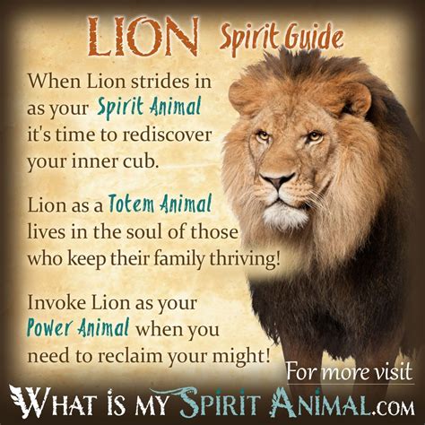 meet  spiritanimal   real fun accurate spirit animal
