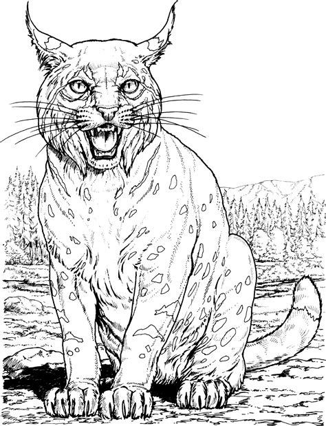 big cat coloring pages cat coloring book cat coloring page animal