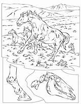 Coloring Pages Horse Hard Horses Animals Geographic National Animal Colouring Popular sketch template