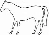 Horse Outline Animal Outlines Animals Printable Clip Clipart Coloring Horses Pages Kids Drawings Running Head 13j Cliparts Size Pt Library sketch template