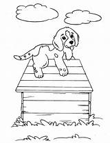 Coloring Pages Puppies Printable Kids sketch template