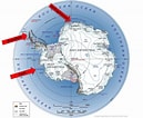 Afbeeldingsresultaten voor "coelographis Antarctica". Grootte: 129 x 106. Bron: lynceans.org