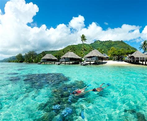 hilton moorea lagoon resort spa travel   tahiti travel