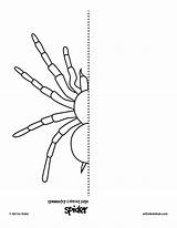 Symmetry Coloring Spider Pages Kids sketch template