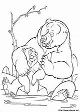 Coloring Dibujos Oso Hermano Bear Brother Koda Kenai sketch template