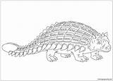 Ankylosaurus Pages Coloring Dinosaur Armored Printable Dinosaurs Print Color sketch template