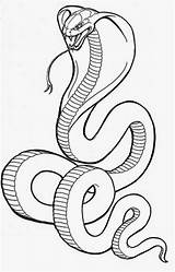 Coloring Snake Pages Printable Cobra Popular King sketch template