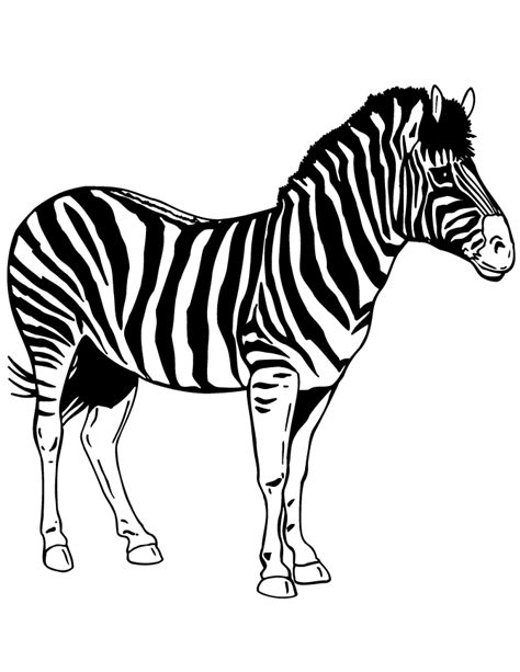 zebra printable printable word searches