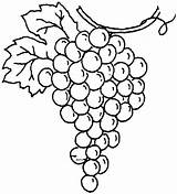 Grapes Coloring Color Pages Kids Read sketch template