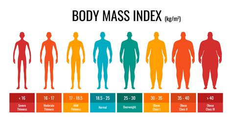 bmi classification chart measurement man set male body mass index infographic  weight