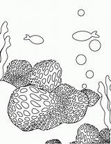 Koralle Rafa Koralowa Kolorowanki Ausmalbild Dzieci Malvorlagen Getcolorings sketch template