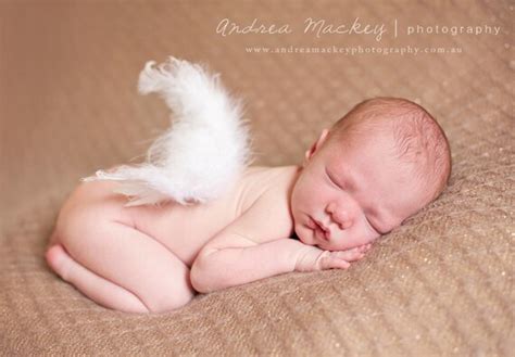 baby hatchling angel wings  professional photography prop