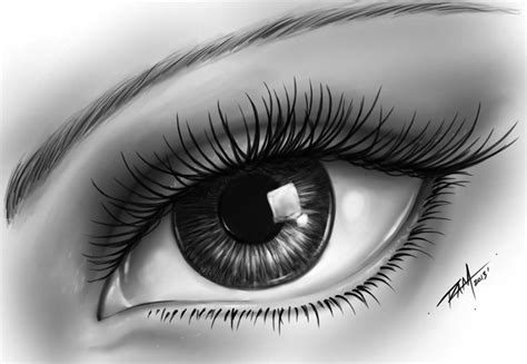 super realistic eye drawing clipart