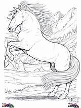 Coloring Horse Pages Rearing Horses Printable Para Colorir Colouring Color Drawing Animals Easy Desenhos Cavalos Print Cavalo Silhouette Getdrawings Adult sketch template