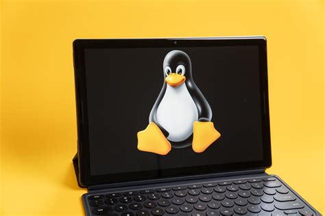 gpu graphics boost  linux apps  chrome os  vastly improves
