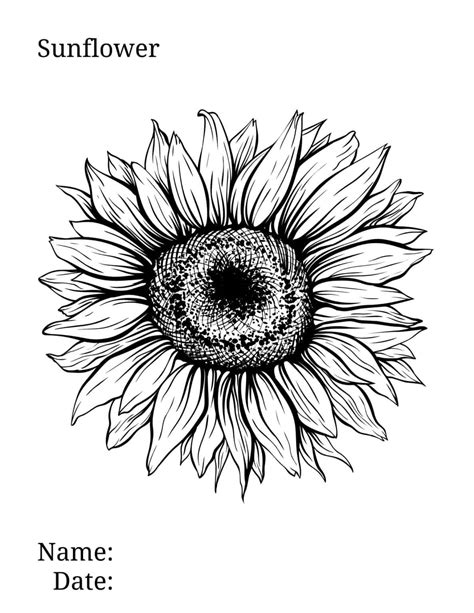 sunflower coloring page brighten  day  floral fun