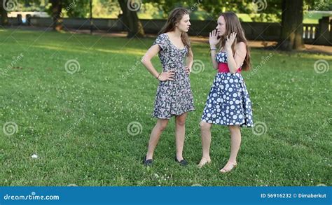 Two Girlfriend Standing In A Park Talking Shot In Full Growth Stock