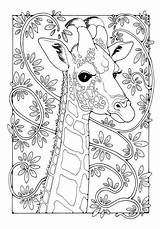 Coloring Pages Giraffe Colour Colouring Adult Book Animal Patterns Dibujo Mandala Kindle Color Giraffes Adults Printable Sheets Para Mandalas Books sketch template