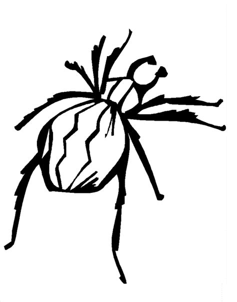 printable spider coloring page  kids coloring home