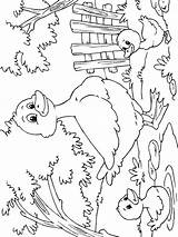 Eendjes Leukekleurplaten Patos Pato Eend Kleurplaten Dibujosparaimprimir Kleur Ducklings sketch template