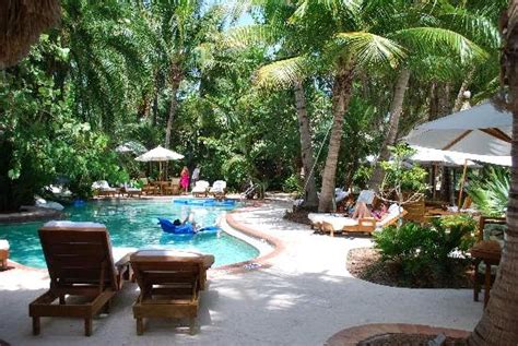 luxury hotels  palm island