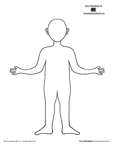 human body worksheets coloring pages learny kids