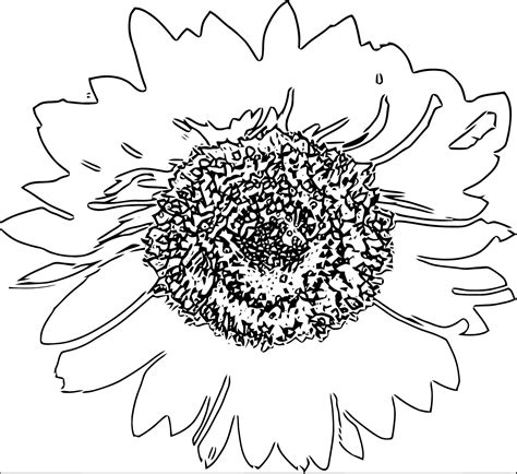 sunflower  flower coloring page wecoloringpagecom