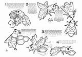 Coloring Honey Pages Bee Bees Worksheets Kids Colouring Book Printable Honeybee Sheet Clipart Jobs Color Colorine 2606 Allison Activities Library sketch template
