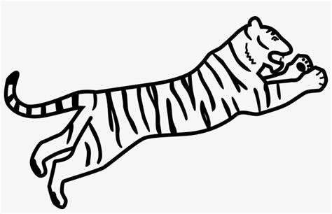 drawing white tiger siberian tiger bengal tiger coloring bengal tiger