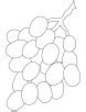 green grapes coloring pages   green grapes coloring pages