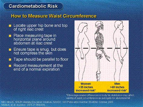Men Are At Increased Relative Risk If They Have A Waist Circumference