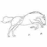 Horse Coloring Pages Color Printable Toddler Roan Arabian Blue sketch template