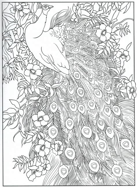 advanced bird coloring pages  adults thekidsworksheet