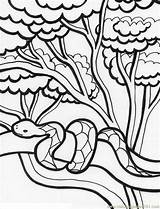 Coloring Pages Jungle Scene Rainforest Forest Popular sketch template