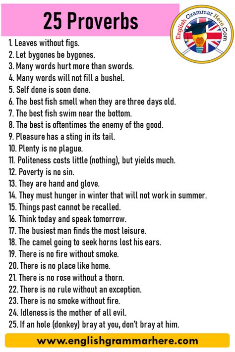 proverbs examples  english english grammar
