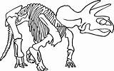 Dinosaur Coloring Skeleton Fossil Pages Bones Printable Drawing Triceratops Line Fossils Color Cliparts Kids Clipart Animal Print Minecraft Printables Getcolorings sketch template