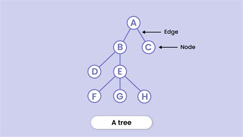 tree data structure types applications operations