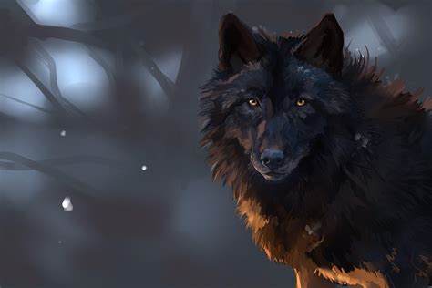 dark wolf wallpapers wallpaper cave