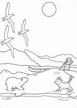 Lars Polar Bear Little Husky Coloring Pages Fun Kids Alaskan Kleine sketch template