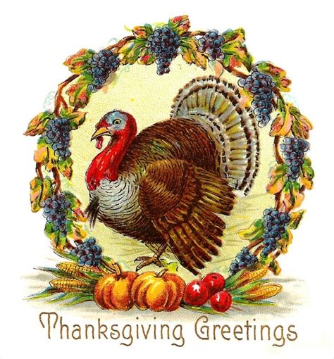 free 16 thanksgiving cliparts in vector eps ai