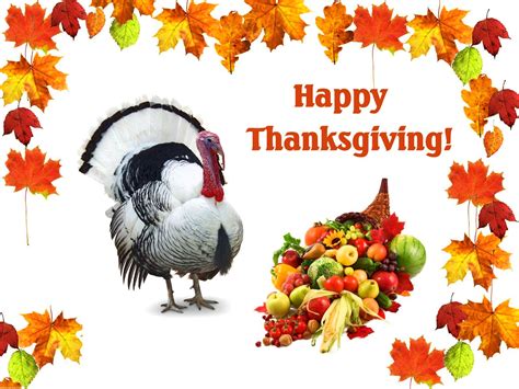 happy thanksgiving day images pictures hd wallpapers  happy