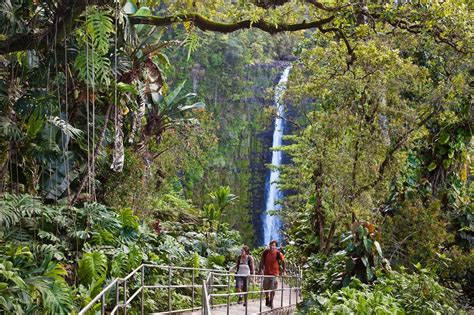 hawaii health  wellness destination world wellness travel