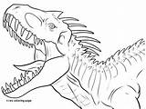Coloring Giganotosaurus Pages Printable Getcolorings Dinosaur Color sketch template