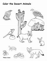 Coloring Pages Animal Desert Animals Farm Color Plants African Kids sketch template
