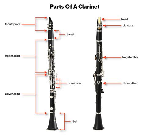 clarinet quickstart guide sweetwater