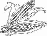 Corn Clipart Coloring Pages Field Drawing Cartoon Cob Stalk Printable Clip Getdrawings Color Transparent Clipartix Maize Svg Library Clipground Popular sketch template