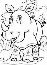 Coloring Rhino Pages Popular Color Rhinoceros sketch template