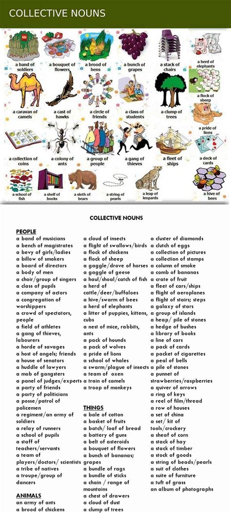 collective nouns group words  people animals   eslbuzz