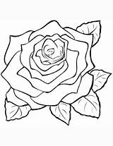 Rose Coloring Pages Printable Categories Roses Supercoloring sketch template
